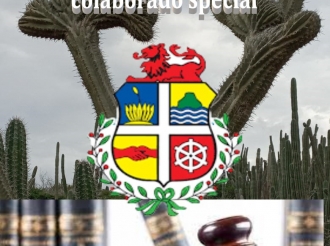 Ni Gobierno ni Parlamento di Hulanda ta manda riba Aruba